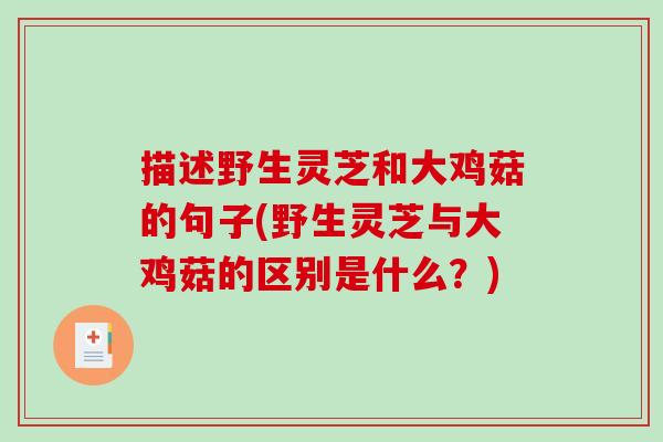 描述野生灵芝和大鸡菇的句子(野生灵芝与大鸡菇的区别是什么？)