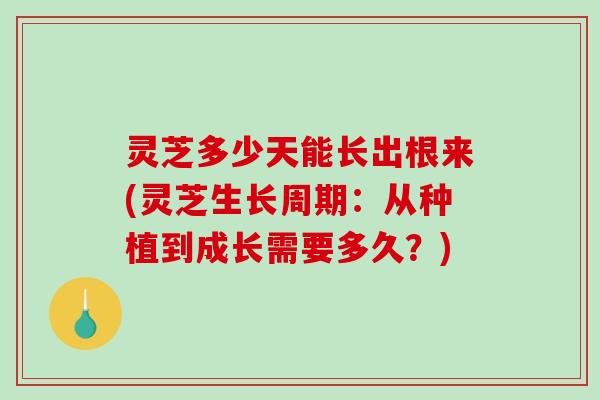 灵芝多少天能长出根来(灵芝生长周期：从种植到成长需要多久？)