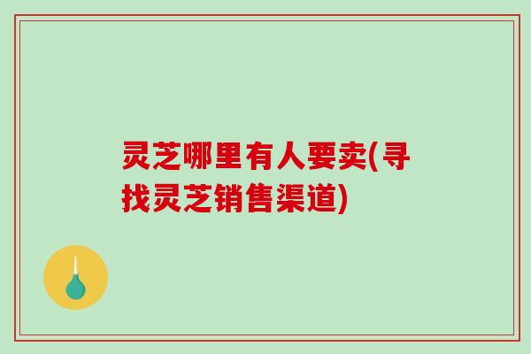 灵芝哪里有人要卖(寻找灵芝销售渠道)