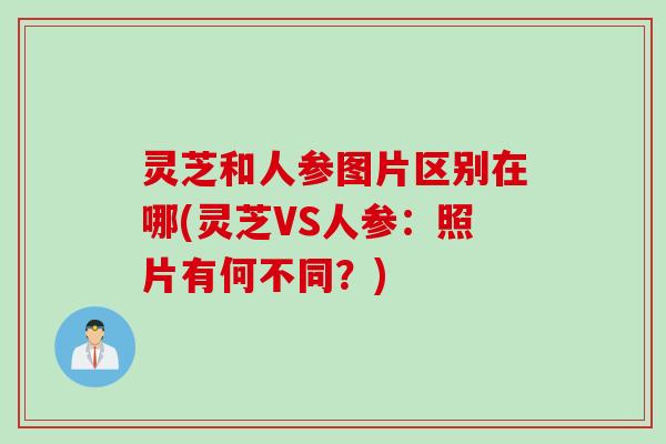灵芝和人参图片区别在哪(灵芝VS人参：照片有何不同？)