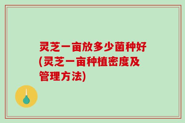 灵芝一亩放多少菌种好(灵芝一亩种植密度及管理方法)