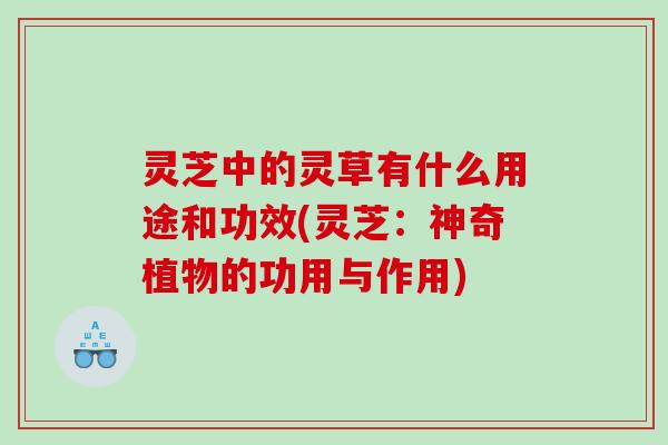 灵芝中的灵草有什么用途和功效(灵芝：神奇植物的功用与作用)