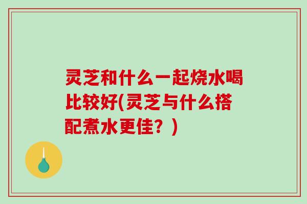 灵芝和什么一起烧水喝比较好(灵芝与什么搭配煮水更佳？)