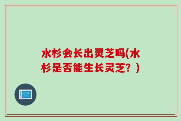 水杉会长出灵芝吗(水杉是否能生长灵芝？)