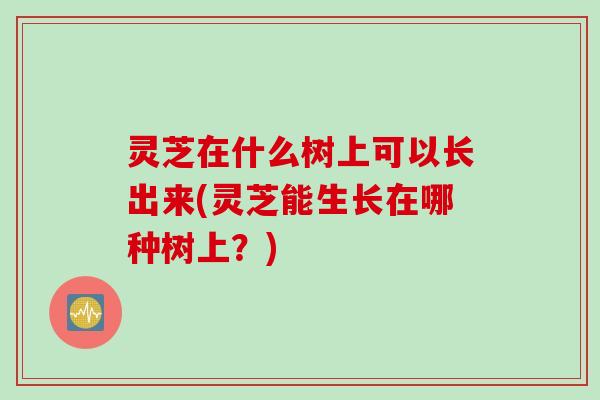 灵芝在什么树上可以长出来(灵芝能生长在哪种树上？)