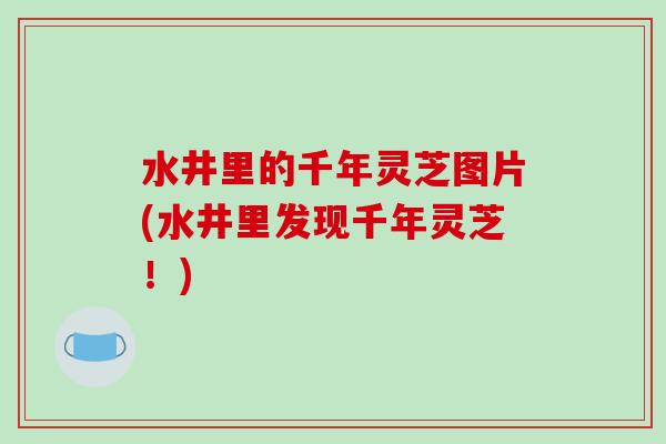 水井里的千年灵芝图片(水井里发现千年灵芝！)
