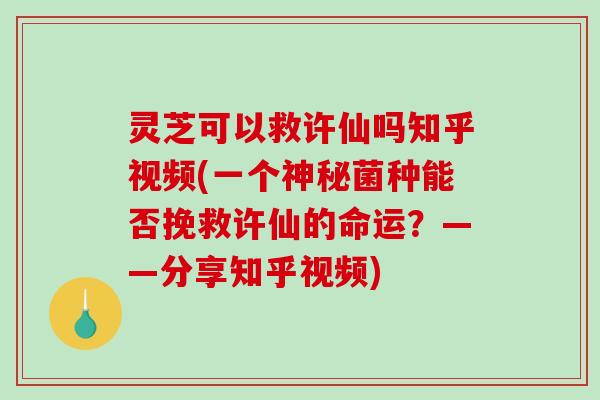 灵芝可以救许仙吗知乎视频(一个神秘菌种能否挽救许仙的命运?——分享知乎视频) 灵芝可以救许仙吗知乎视频(一个神秘菌种能否挽救许仙的命运?——分享知乎视频)