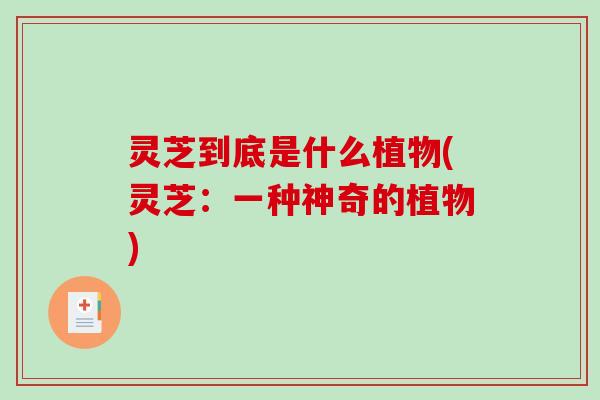 灵芝到底是什么植物(灵芝：一种神奇的植物)