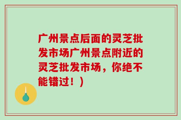 广州景点后面的灵芝批发市场广州景点附近的灵芝批发市场，你绝不能错过！)