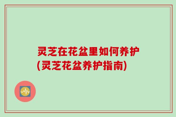 灵芝在花盆里如何养护(灵芝花盆养护指南)