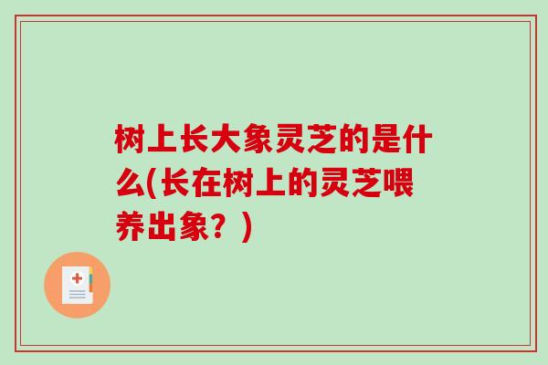 树上长大象灵芝的是什么(长在树上的灵芝喂养出象？)