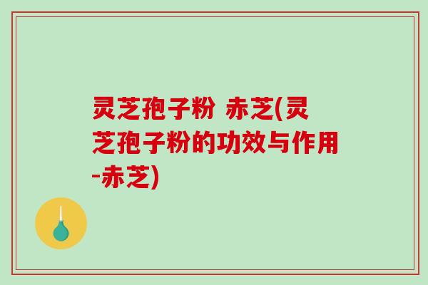 灵芝孢子粉 赤芝(灵芝孢子粉的功效与作用-赤芝)