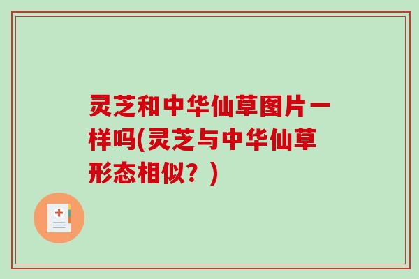 灵芝和中华仙草图片一样吗(灵芝与中华仙草形态相似？)
