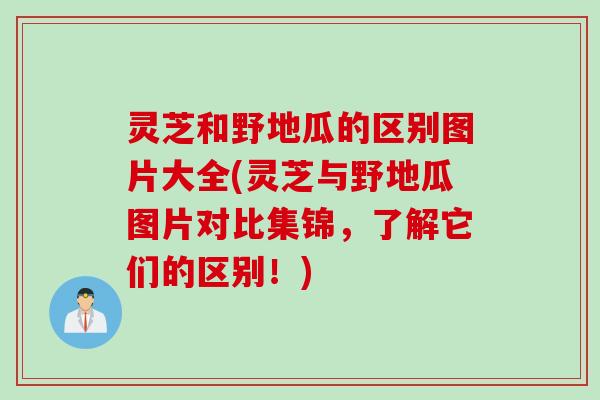 灵芝和野地瓜的区别图片大全(灵芝与野地瓜图片对比集锦，了解它们的区别！)