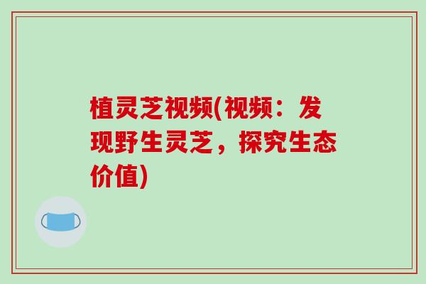 植灵芝视频(视频：发现野生灵芝，探究生态价值)