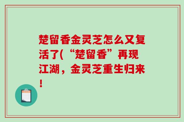 楚留香金灵芝怎么又复活了(“楚留香”再现江湖，金灵芝重生归来！