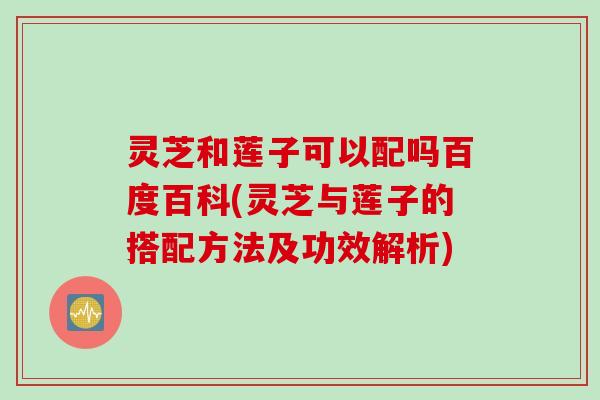 灵芝和莲子可以配吗百度百科(灵芝与莲子的搭配方法及功效解析)