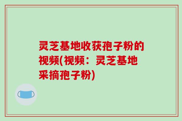 灵芝基地收获孢子粉的视频(视频：灵芝基地采摘孢子粉)