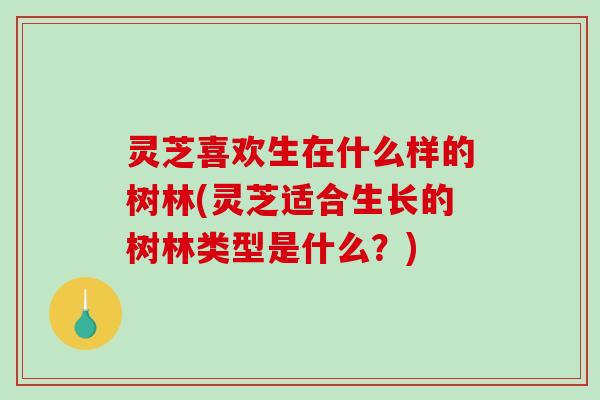 灵芝喜欢生在什么样的树林(灵芝适合生长的树林类型是什么？)