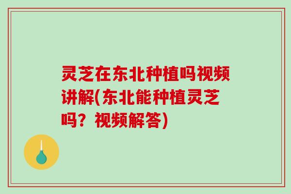 灵芝在东北种植吗视频讲解(东北能种植灵芝吗？视频解答)