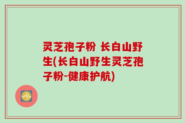 灵芝孢子粉 长白山野生(长白山野生灵芝孢子粉-健康护航)