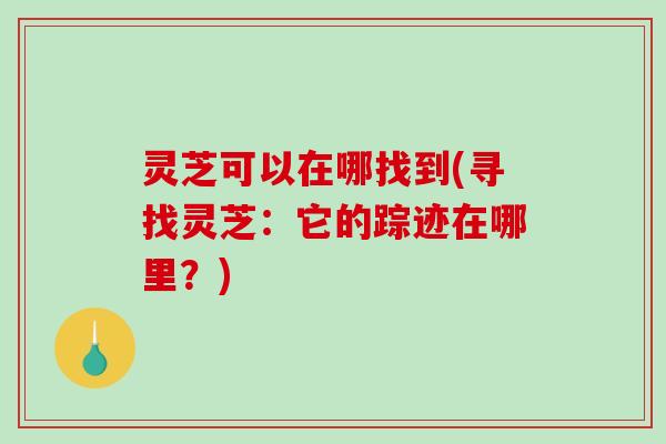灵芝可以在哪找到(寻找灵芝：它的踪迹在哪里？)