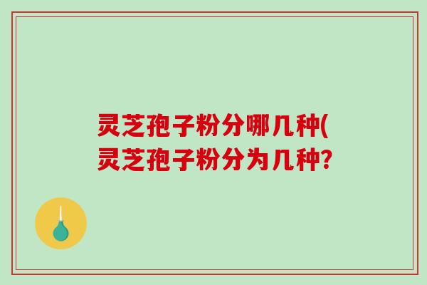 灵芝孢子粉分哪几种(灵芝孢子粉分为几种？