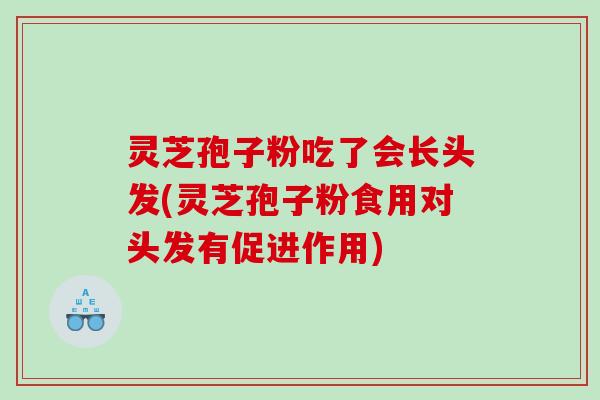 灵芝孢子粉吃了会长头发(灵芝孢子粉食用对头发有促进作用)