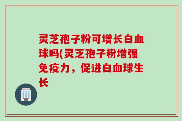 灵芝孢子粉可增长白血球吗(灵芝孢子粉增强免疫力，促进白血球生长