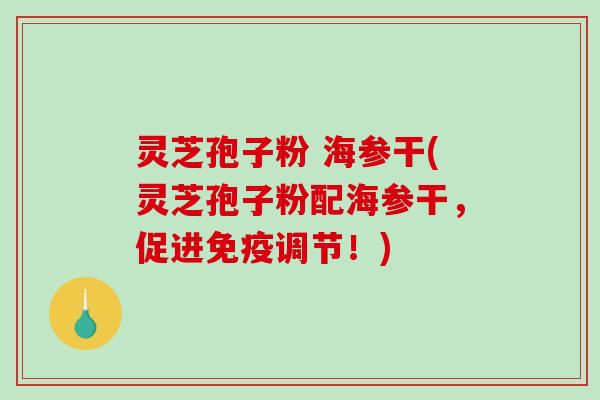 灵芝孢子粉 海参干(灵芝孢子粉配海参干，促进免疫调节！)