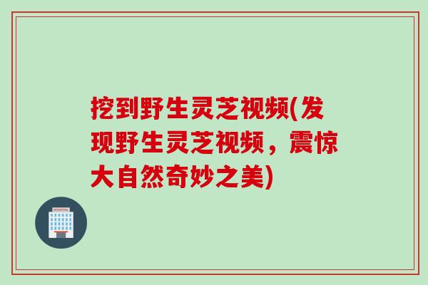 挖到野生灵芝视频(发现野生灵芝视频，震惊大自然奇妙之美)