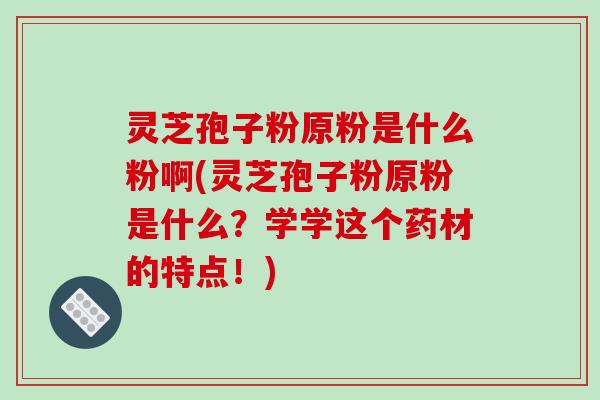 灵芝孢子粉原粉是什么粉啊(灵芝孢子粉原粉是什么？学学这个药材的特点！)