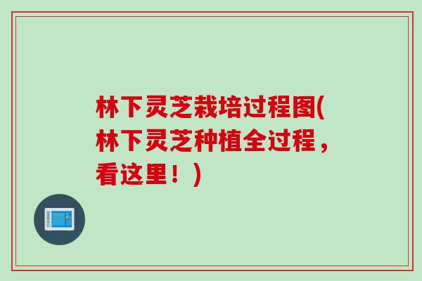 林下灵芝栽培过程图(林下灵芝种植全过程，看这里！)