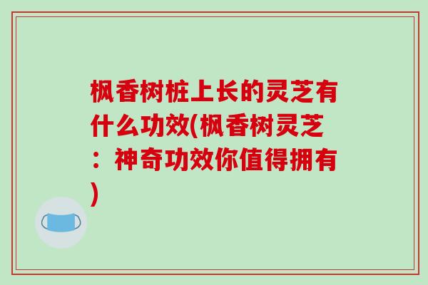 枫香树桩上长的灵芝有什么功效(枫香树灵芝：神奇功效你值得拥有)