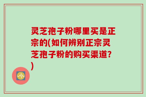 灵芝孢子粉哪里买是正宗的(如何辨别正宗灵芝孢子粉的购买渠道？)