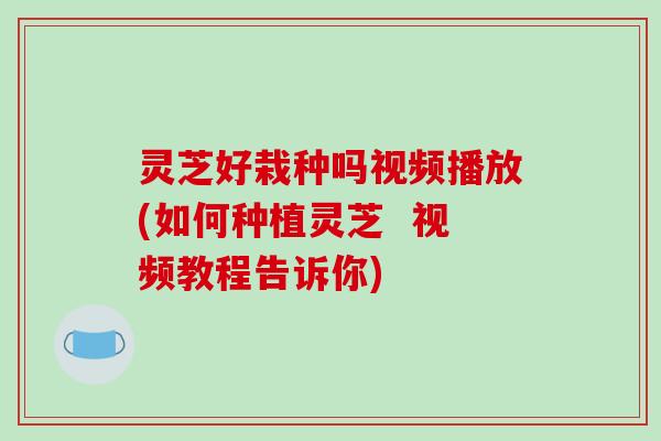 灵芝好栽种吗视频播放(如何种植灵芝  视频教程告诉你)