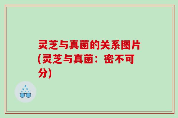 灵芝与真菌的关系图片(灵芝与真菌：密不可分)