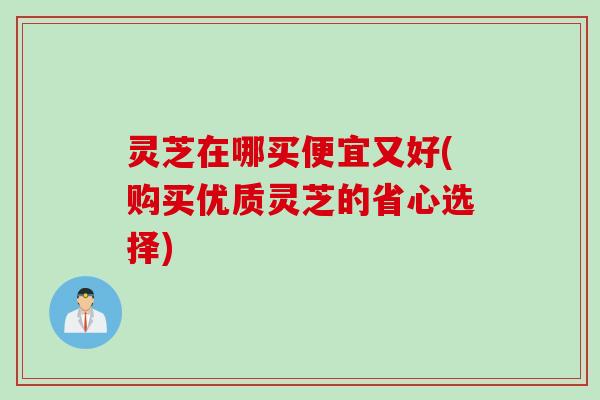 灵芝在哪买便宜又好(购买优质灵芝的省心选择)
