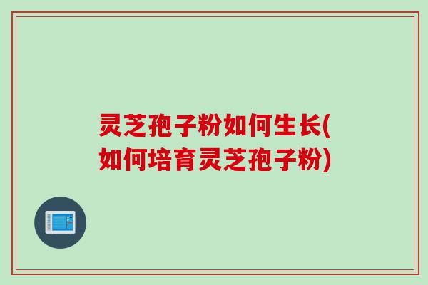 灵芝孢子粉如何生长(如何培育灵芝孢子粉)