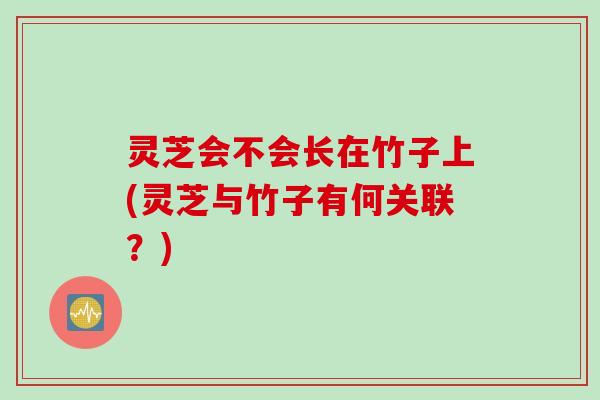 灵芝会不会长在竹子上(灵芝与竹子有何关联？)