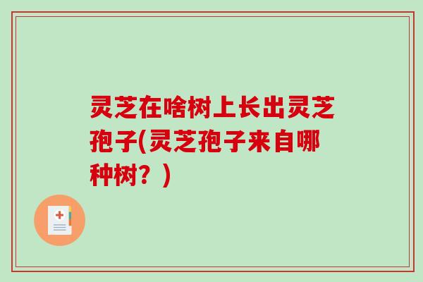 灵芝在啥树上长出灵芝孢子(灵芝孢子来自哪种树？)