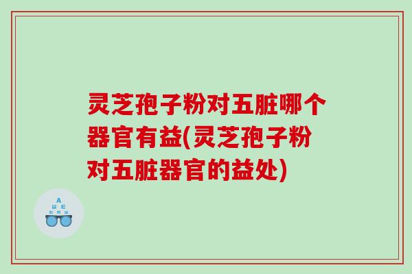 灵芝孢子粉对五脏哪个器官有益(灵芝孢子粉对五脏器官的益处)