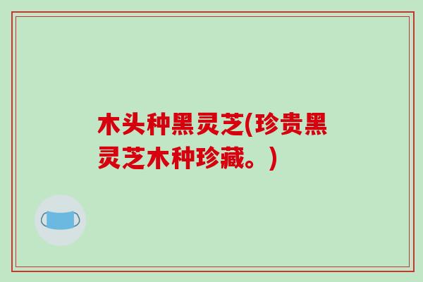 木头种黑灵芝(珍贵黑灵芝木种珍藏。) 木头种黑灵芝(珍贵黑灵芝木种珍藏。)