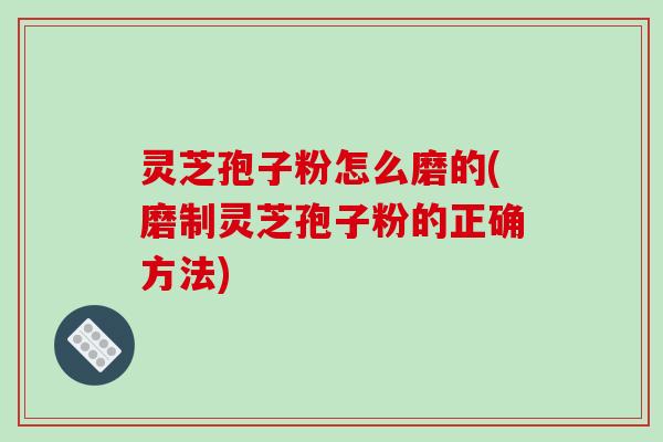 灵芝孢子粉怎么磨的(磨制灵芝孢子粉的正确方法)