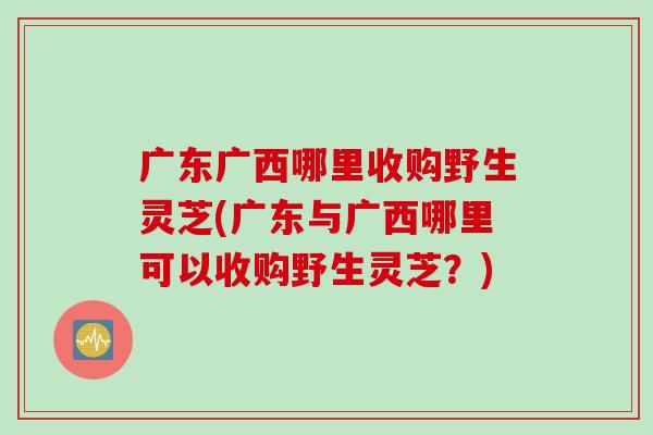 广东广西哪里收购野生灵芝(广东与广西哪里可以收购野生灵芝？)