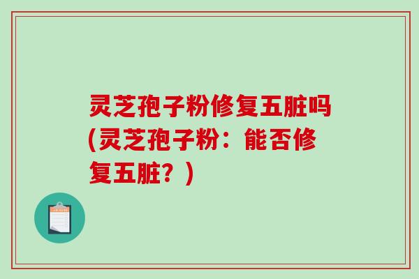 灵芝孢子粉修复五脏吗(灵芝孢子粉：能否修复五脏？)