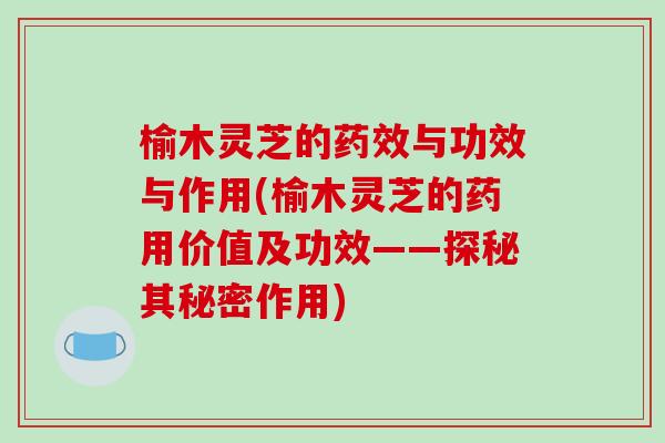 榆木灵芝的药效与功效与作用(榆木灵芝的药用价值及功效——探秘其秘密作用)