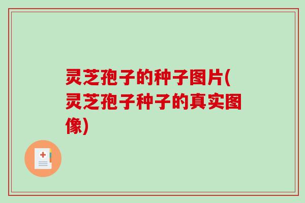 灵芝孢子的种子图片(灵芝孢子种子的真实图像)