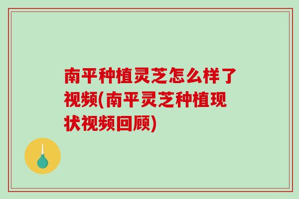 南平种植灵芝怎么样了视频(南平灵芝种植现状视频回顾)