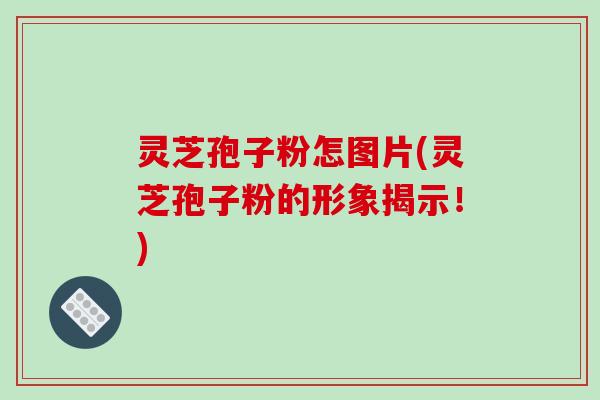 灵芝孢子粉怎图片(灵芝孢子粉的形象揭示！)
